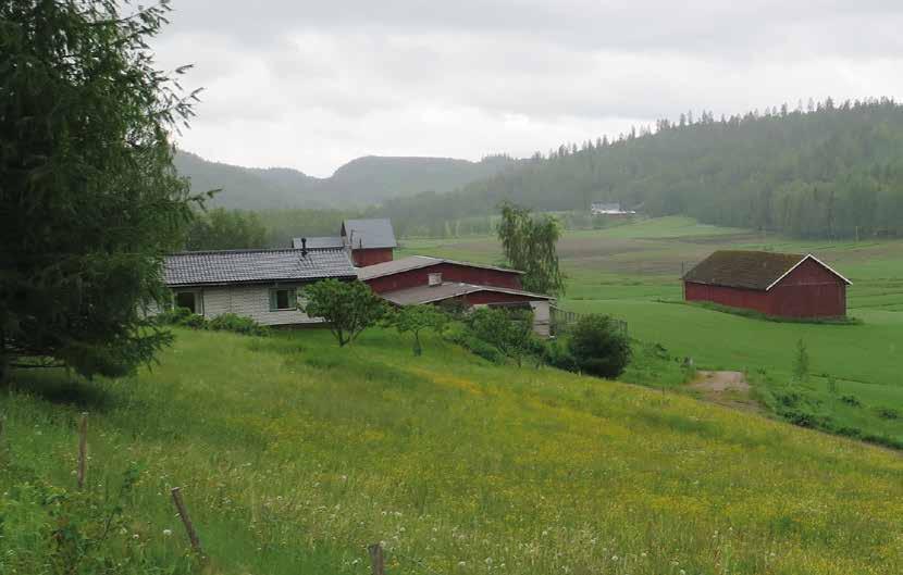 Bild: Dallandskapet vid Viisarimäki och Rutalahti (AH) Höjder Höjdernas tolerans LANDSKAPETS GRUNDELEMENT De högsta höjdkurvorna avser höjder som består av berggrund och morän samt grus eller sand