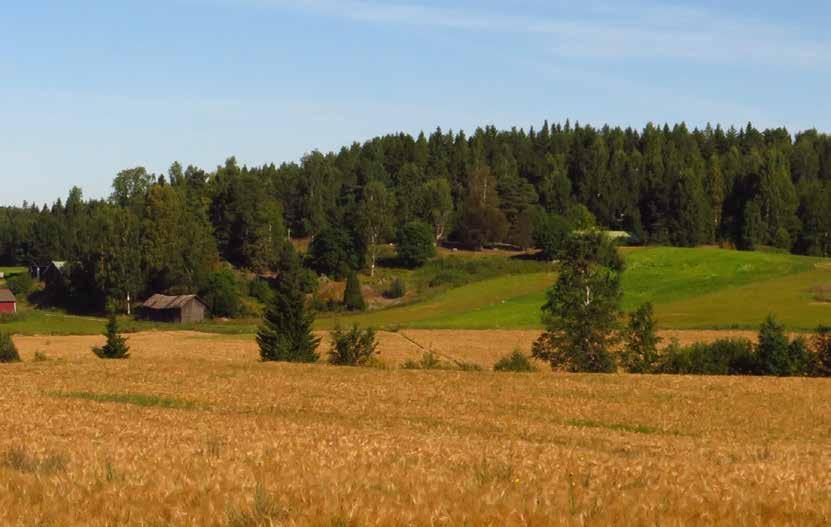 Sluttningar Sluttningarnas tolerans LANDSKAPETS GRUNDELEMENT Landskapsstrukturens övergångszoner finns mellan dalar och höjder.