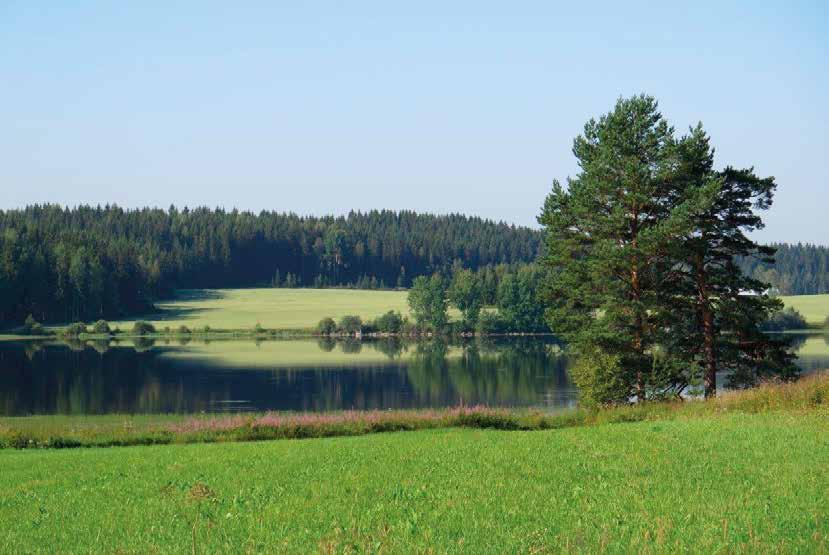 Bild: Kulturlandskap i Kuukanpää (AH) Form och storleksförhållanden i landskapet Toleransen för form och storleksförhållanden i landskapet LANDSKAPETS SÄRDRAG Berggrunden avgör landskapets grundform,