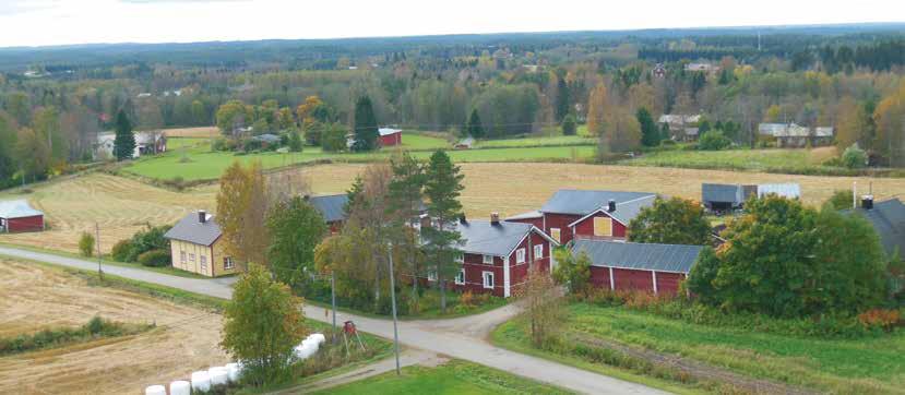 Bild: Backbosättning i Lehtimäki (AK) För planeringen av byggplatsen är det bra att försöka identifiera bytypen i landskapet.