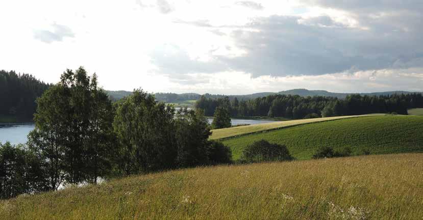 Skogar Vad bör man beakta? JORD- OCH SKOGSBRUKSMILJÖER Skogarna är en central del av landskapet.