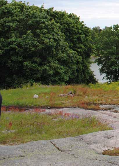 VÄRDESÄTT kulturmiljön Den byggda kulturmiljön och byggnadsarvet hänvisar såväl konkret till den byggda miljön, som till markanvändningen och byggnadssättet samt -historian som format den byggda