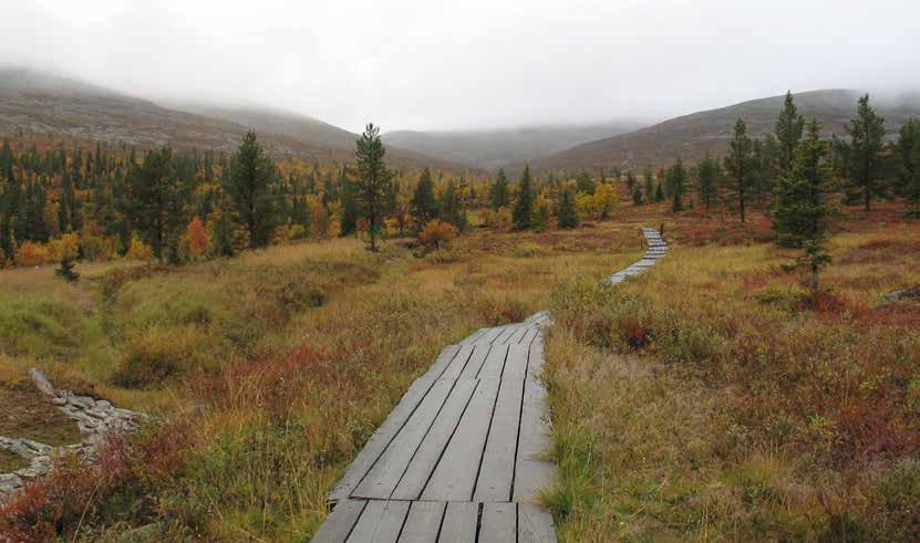 3) Landskapets särdrag och naturens mångfald Värdefulla landskapsområden har en mångformig landskapsbild.