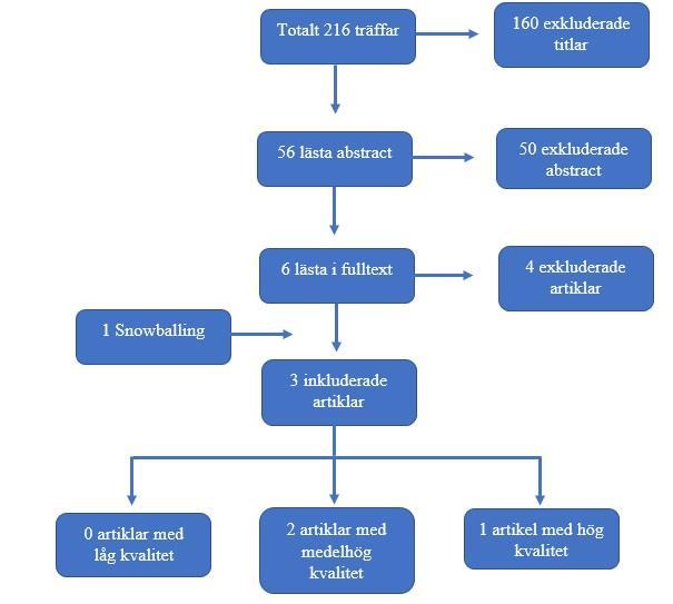 Databearbetning Sökningarna i de olika databaserna resulterade i totalt 216 träffar.