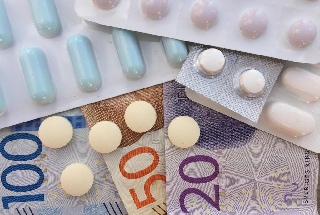 Koncernkontoret Susanne Delphin, Avdelning ekonomi, Enhet HSS, Koncernkontoret Babak