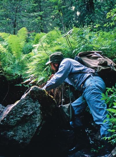 TRE SOCKNAR I ÅNGERMANLAND 1995; Nagasjökälen, sandig backäng 2003; byn Bölen, N.