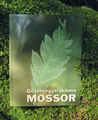 BOTANISK LITTERATUR Göteborgstraktens mossor nu kartlagda Det var en stillsam helgförmiddag i slutet av april 1998. Jag satt i arbetsrummet och mikroskoperade lavar.