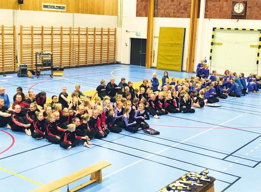 Gymnastisk spänst i Hjortsberga POKAL OCH MEDALJER TILL HGK Söndagen den 23 april representerade 13 duktiga gym nas ter Hjortsberga gymnastikklubb (HGK) vid den traditionella tävlingen