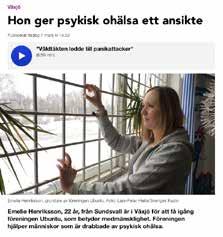 missuppfattat kommunens modell 170413