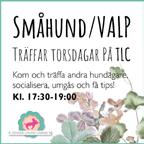 varje fredag.