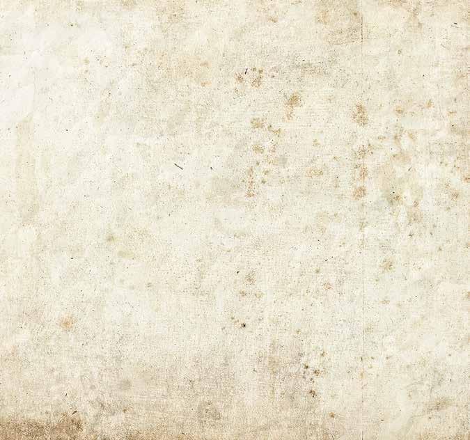 DEMOGRAFISK PROFIL av de 219 personer som genomgått en screening av Läkare Utan