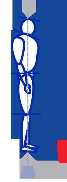Lodlinje (gravity line) Gravitationen är den naturliga riktningskoordinatorn för vår balans. Hänger vi ett lod från huvudet och ned mot marken, kommer lodet att hamna mellan fötterna.