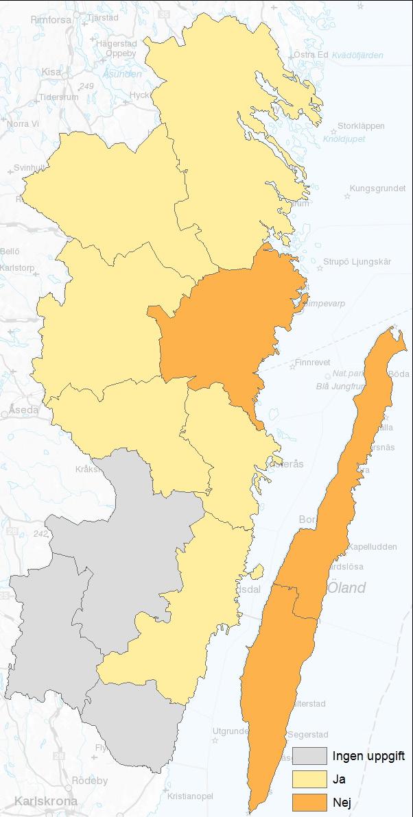 funktionsnedsättning (särskilt anpassad