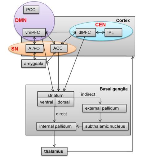 Vilken effekt har SSRI på CSTC-kretsar och Canonic Networks?