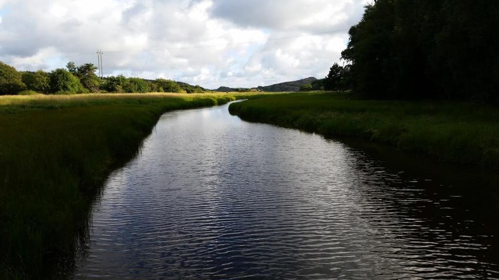 Årsstämma Lördagen den 30 juni 2018 kl.