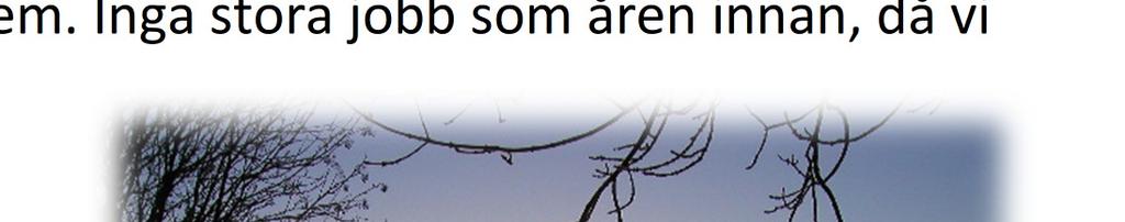 Förord, ordförande.