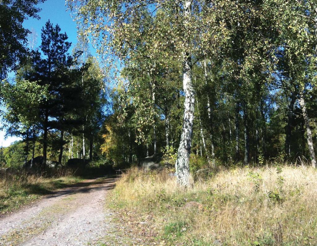 Upprättad 2013-07-03 Reviderad 2015-06-26