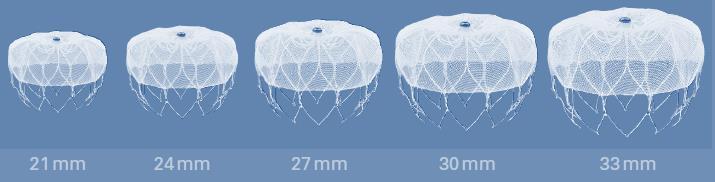 sheath size fits all Pre-loaded device delivery system, 10