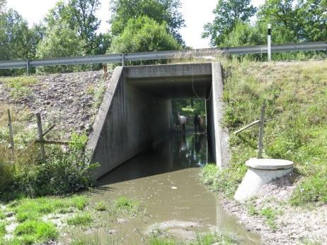 4.3.1 Sträcka A Längs denna sträcka passerar en hel del större klövvilt såsom rådjur, dovhjort och älg.