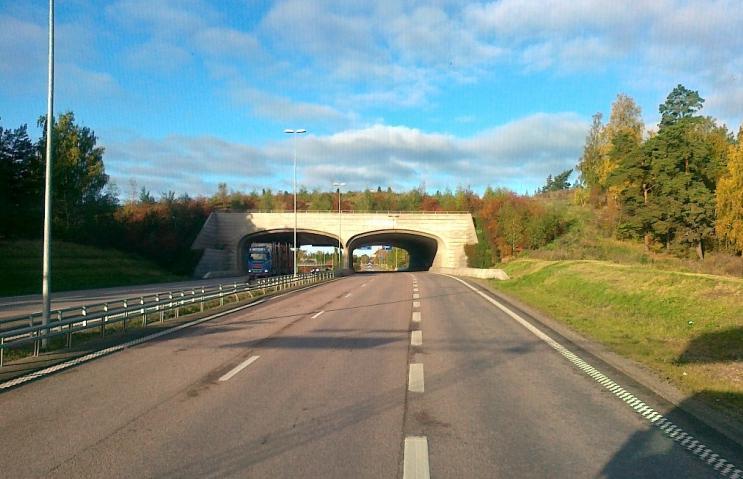 Figur 2. Exempel på ekodukt, denna öv er Bärbyleden i Uppsala (foto från BatMan). 1.4.1 Faunabro En faunabro är en vägbro som är anpassad för djur (Figur 3).