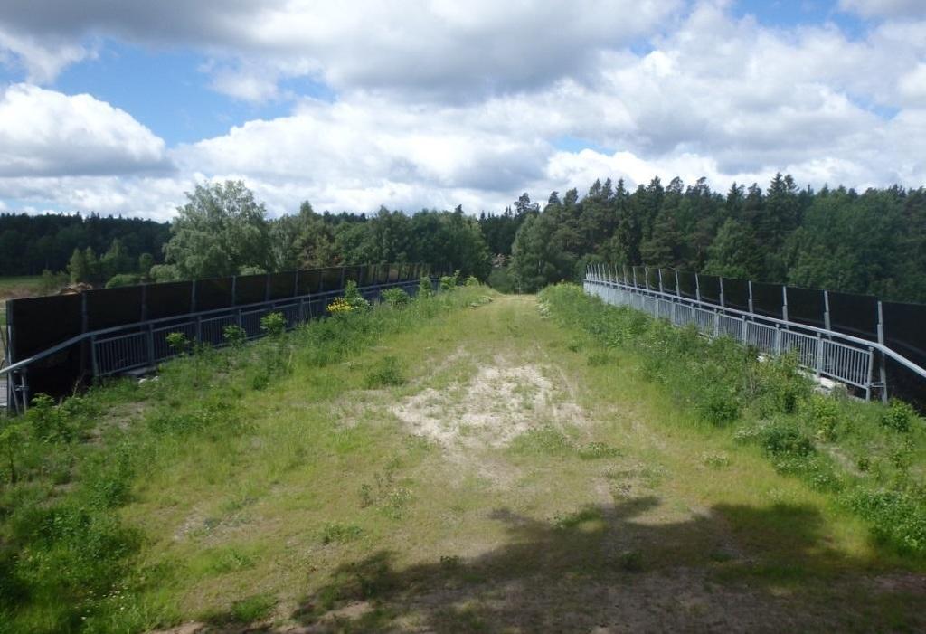 Vid samnyttjande är det också viktigt att brons bredd ger plats för både vilt och människor.