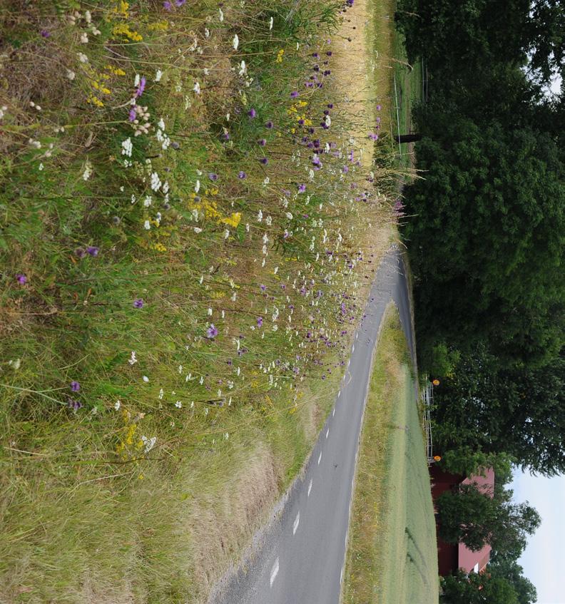 Infrastrukturens biotoper Föreläsningar
