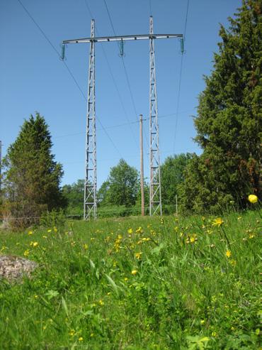 Samverkansgrupp för infrastrukturens gräsmarker ett tvärsektoriellt forum för att stärka biologisk mångfald i landskapets nya gräsmarker Naturvård är en del av infrastrukturens ansvar Dagens landskap