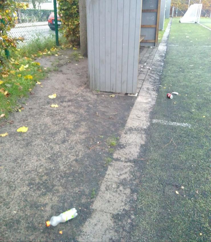 Stora kunskapsluckor finns när det gäller detaljer kring konstgräsplaner i Malmö.