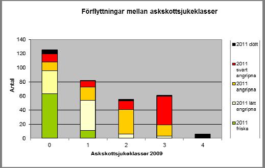 Många fler skyddsvärda askar har blivit drabbade och det vanligaste fallet var att träd som var friska vid 2009 års inventering nu är lätt angripna.
