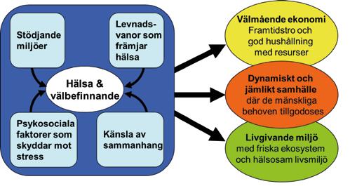 Hälsofrämjande som strategi för hållbar utveckling Hälsofrämjande processer förekommer i många olika sammanhang.