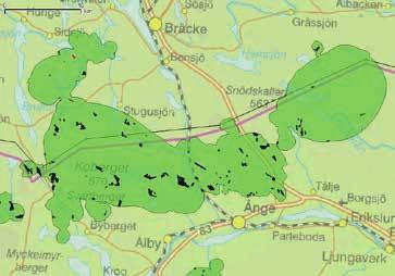 VT 2 AREA 1 GALABACKEN Avverkningsanmälan: A 55857-2015 Ägare: SCA Yta: 4,8 ha Datum för inventeringen: 2017-06-19 Inventerad av: Rebecka Le Moine Noteringar: 8 signalarter