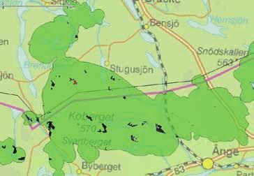 VT 2 OMRÅDE 4 HELVETESBRÄNNAN NORD Avverkningsanmälan: A 43906-2016 Ägare: SCA Yta: 5,7 ha Datum för inventeringen: 2017-09-05 Inventerad av: Olli Manninen Noteringar: 84 noteringar av signalarter