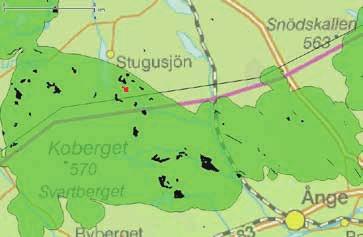 VT 2 OMRÅDE 8 TUFLOBERGET Avverkningsanmälan: A 26110-2017 Ägare: SCA Yta: 10,9 ha Datum för inventeringen: 2017-09-06 Inventerad av: Olli Manninen Noteringar: 24 noteringar av signalarter och/eller