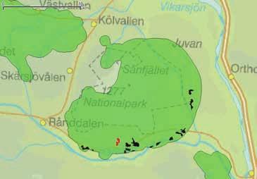 VT 1 OMRÅDE 1 DALSVALLEN-SODAN, DALSVALLEN NORDVÄST Avverkningsanmälan: A 15165-2016 Ägare: Holmen Skog Yta: 14,2 ha Datum för inventeringen: 2017-06-11 Inventerad av: Olli Manninen Noteringar: 8