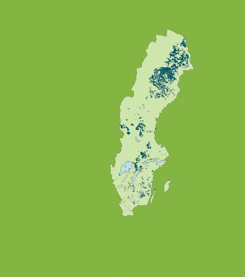 Sveriges största skogsägare Sveaskogs skogsinnehav Kiruna Sveaskog är Sveriges största skogsägare med 14 procent av Kalix Sveriges skogar.