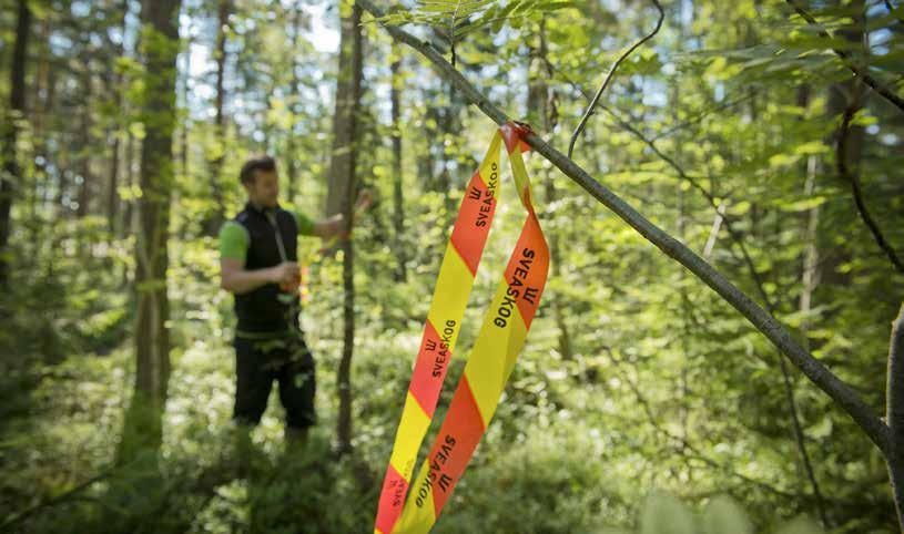 Årsredovisning 2016 Kultur och motivation centrala medarbetarfrågor Motiverade medarbetare med relevanta kompetenser är en förutsättning för att företaget ska kunna bedriva en effektiv och lönsam