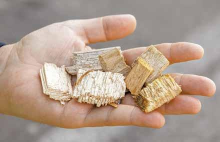Årsredovisning 2016 Biobränslen möter stark konkurrens Biobränslemarknaden har varit tuff under flera år på grund av konkurrens från andra brännbara material.