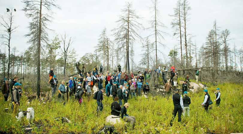 Invigningen av den 37:e ekoparken i det eldhärjade området i Västmanland invigdes med en vandring. Området kan komma att bli Sveriges största sammanhängande lövskog.