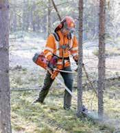Biobränslet består av grenar och toppar liksom klena träd och