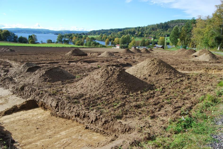 Lagret med bränd lera kan ses i tre schakt inom en sträcka av 20 meter väster om vägen samt även på