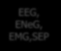 EEG 2015 EEG EEG 2014