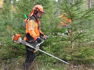 /Hilkka Öppet hus på Treehotel Restaurang 3 juni