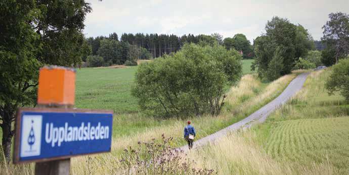 Anders A Aronsson, Upplandsstiftelsens styrelse Vilken roll har naturen för folkhälsan? Bokstavligt talat en fullständigt livsavgörande roll! Alla gröna växter ger oss vår livsluft.