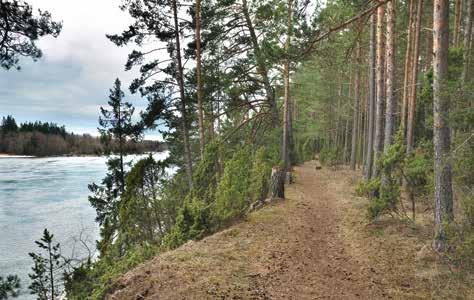 Jag tycker inte om att gå själv, inte för att jag är rädd, men jag har alltid ångest av att gå själv och göra saker. Vad kan underlätta för dig att ta dig ut i naturen?