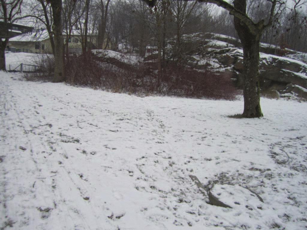 Bild 4: En antydan till dike i centrala delen av planområdet samt brunn med sidointag. Befintliga förhållanden framgår av bilaga 1. 2.