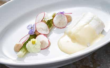 HOLLANDAISE SÅS Precis som bearnaise är hollandaise en äkta sås. Såsen är enkel, men samtidigt väldigt komplicerad.