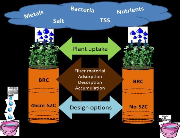 Biofilter är växtbevuxna infiltrationsbäddar, där vattnet infiltrerar och renas av växterna och filtermaterialet, se figur 4. Figur 5. Dagvattenbiofilter, North Carolina, USA. Figur 4.