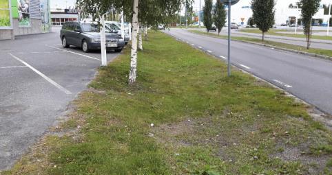 initierats kopplat still studien av kunskapsläget för gröna svackdikengröna horisontella ytor.