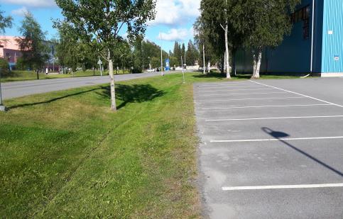 Fältarbetsdelen genomfördes under hösten, med allt analysarbete fullföljt återstår vid årets slut att genomföra datasammanställning och utvärdering. 2.1.