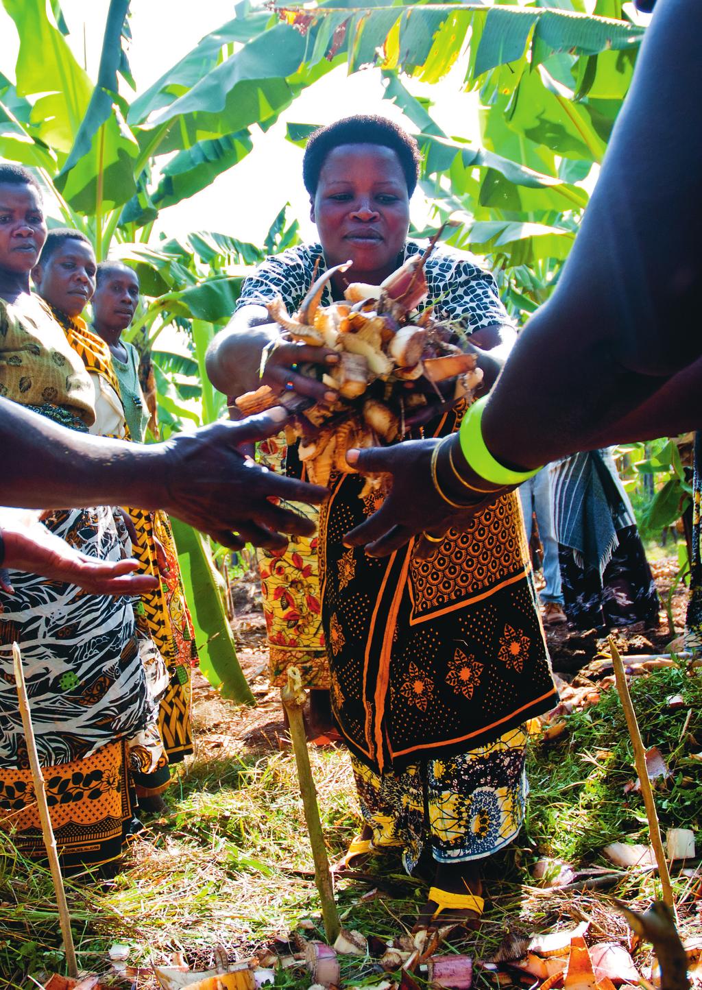 Kvinnogruppen Mafaniko, Tanzania.
